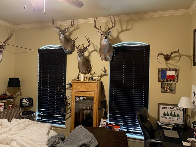 Replaced 2-Inch Faux Blinds with Plantation Shutters on County Rd 136 in Tyler, TX